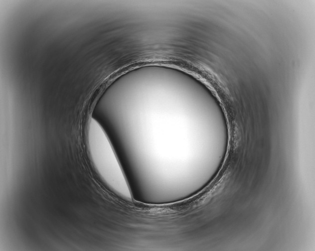 X0000096681449200802051020