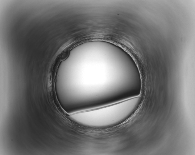 X0000096681450200802051020