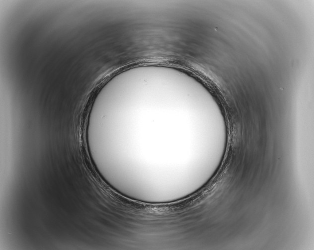 X0000096681451200802051020