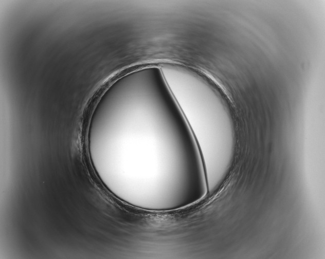 X0000096681452200802051020