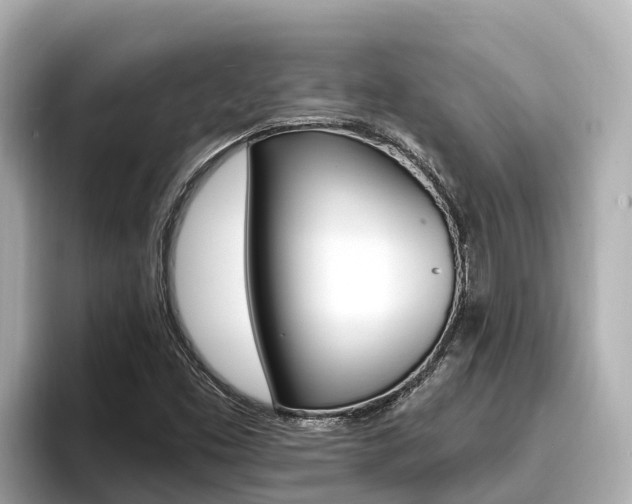 X0000096681453200802051020