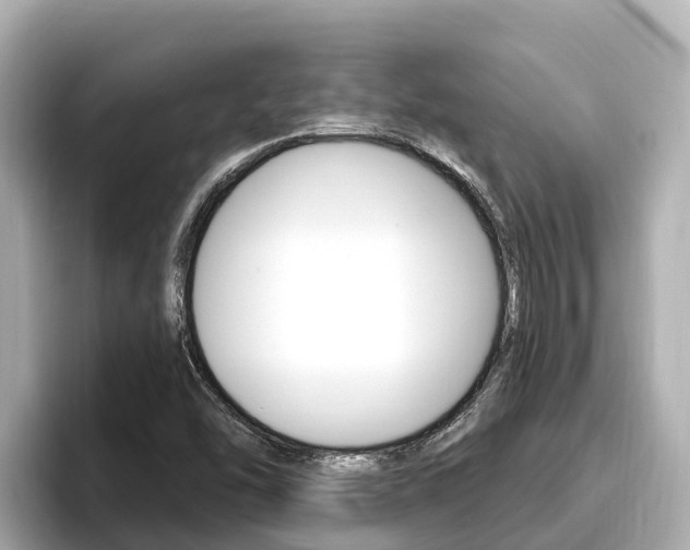 X0000096681454200802051020
