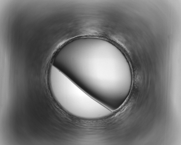 X0000096681455200802051020