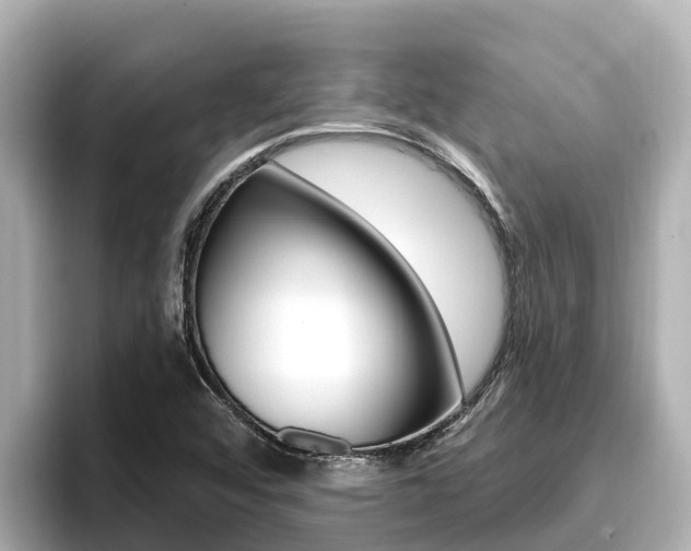 X0000096681456200802051020