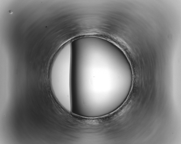 X0000096681457200802051020