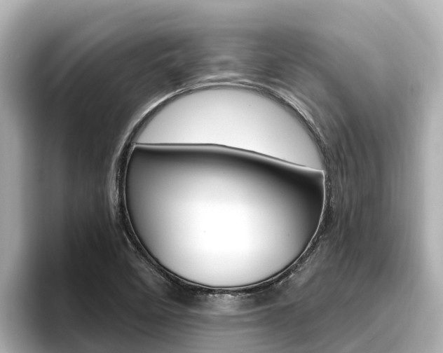 X0000096681458200802051020