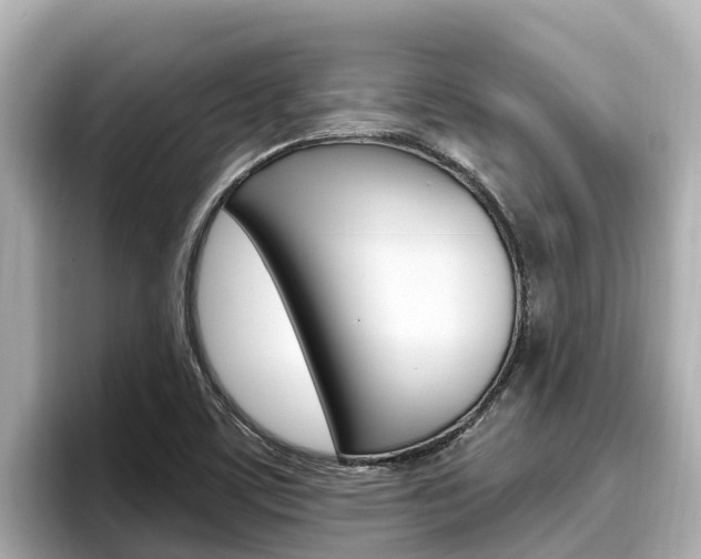 X0000096681459200802051020