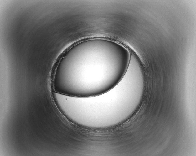 X0000096681460200802051020