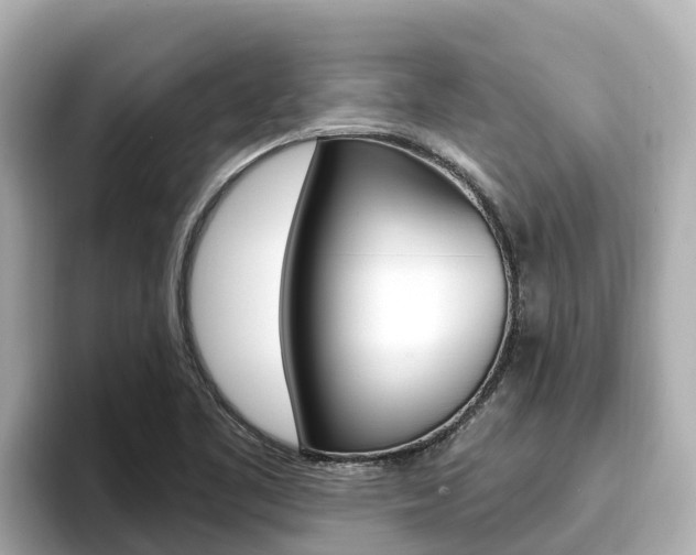 X0000096681461200802051020