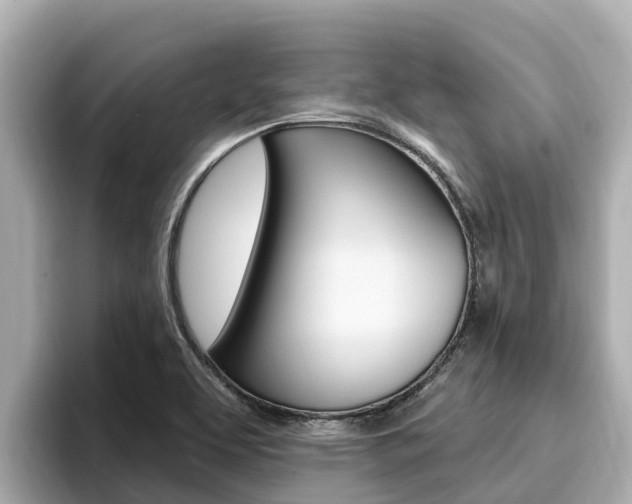 X0000096681463200802051020