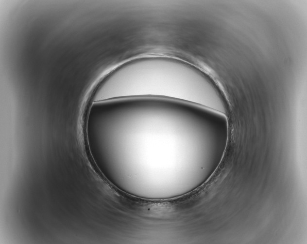 X0000096681464200802051020