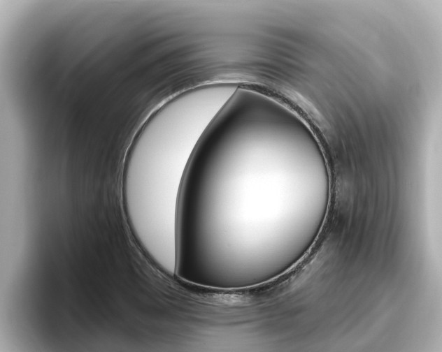 X0000096681465200802051020