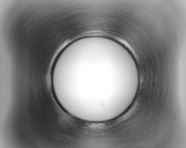 X0000096681466200802051020