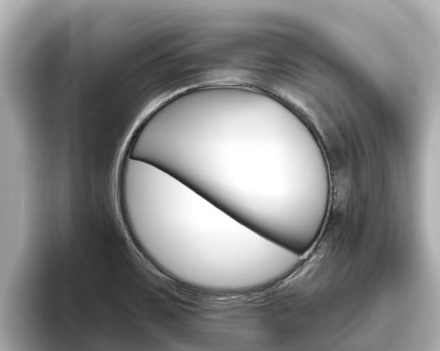 X0000096681467200802051020