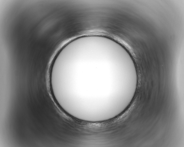 X0000096681470200802051020