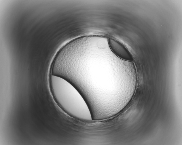 X0000096681471200802051020
