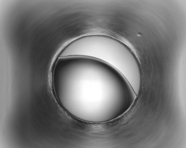 X0000096681472200802051020