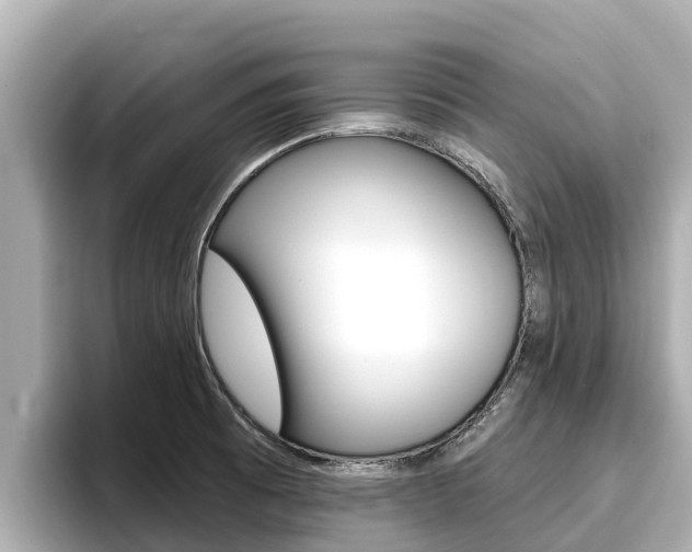 X0000096681473200802051020