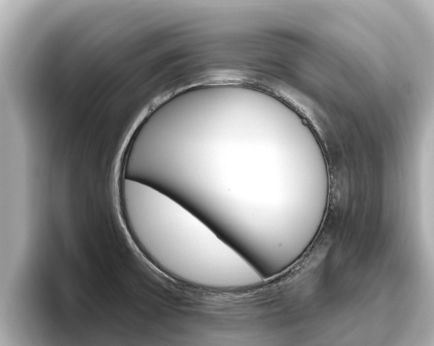 X0000096681475200802051020