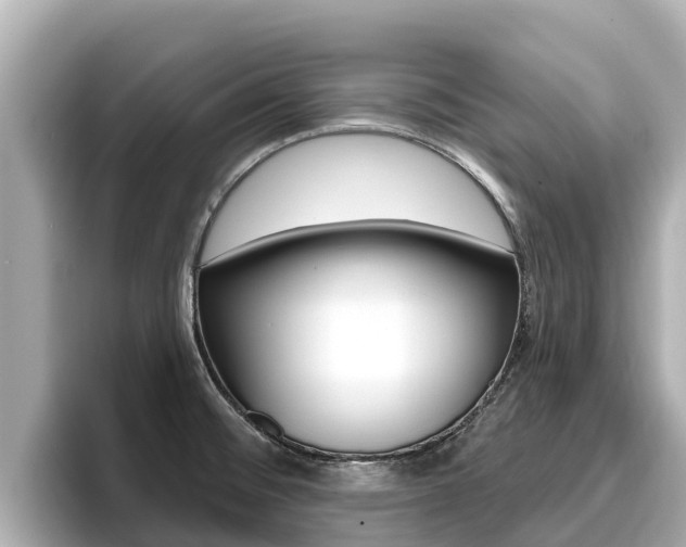 X0000096681476200802051020