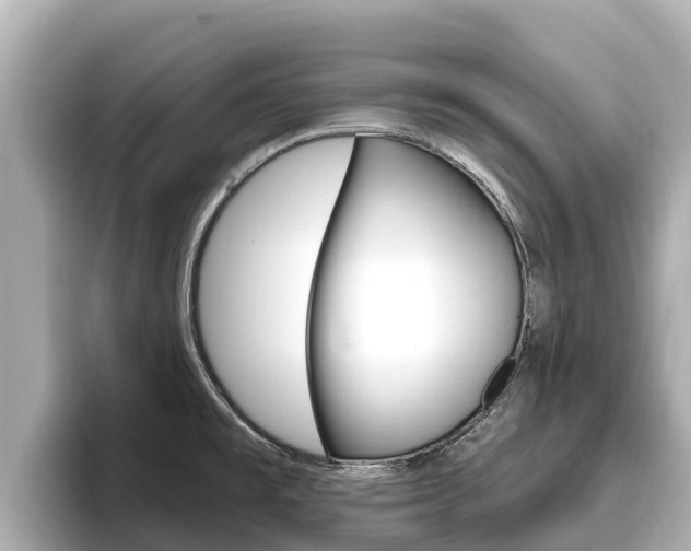 X0000096681477200802051020