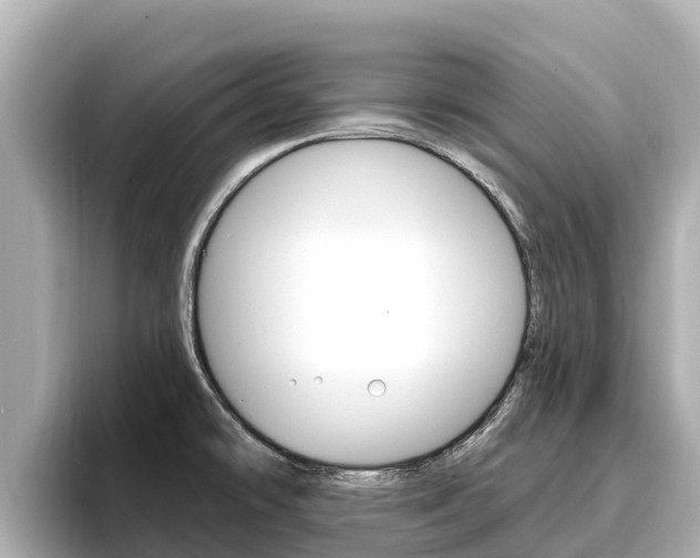 X0000096681478200802051020