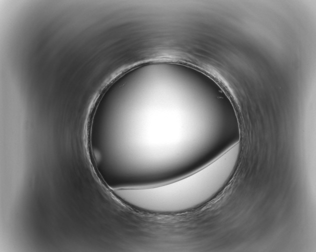 X0000096681480200802051020