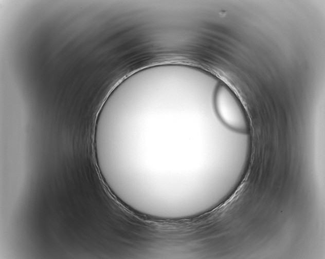 X0000096681481200802051020