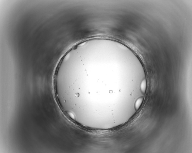 X0000096681482200802051020