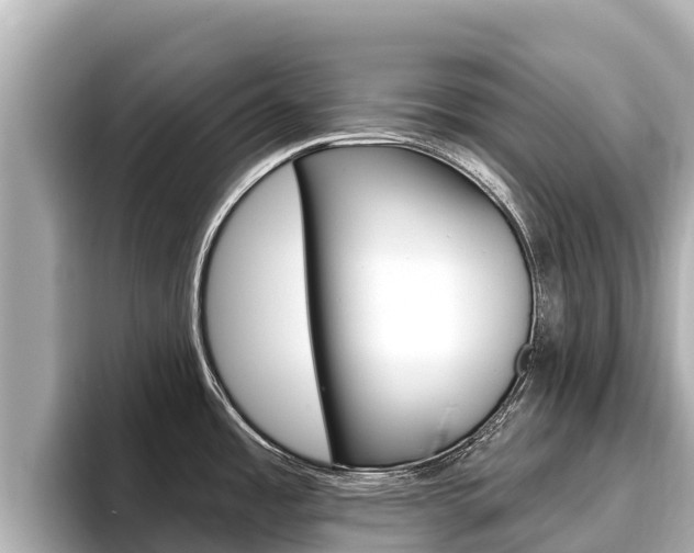 X0000096681485200802051020