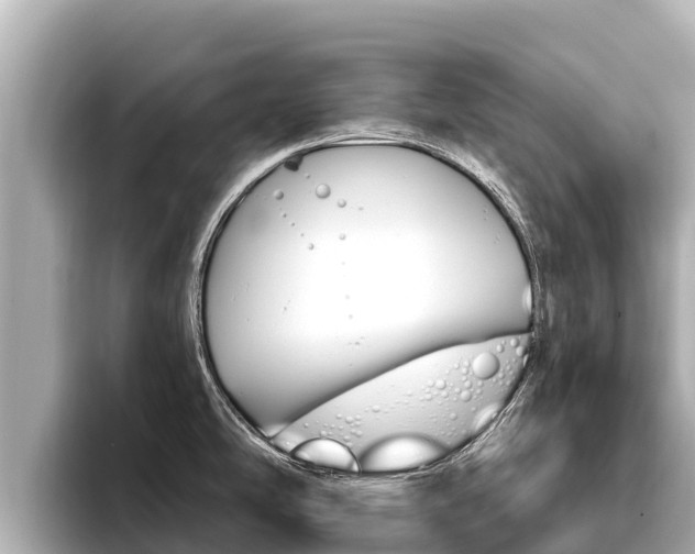 X0000096681486200802051020