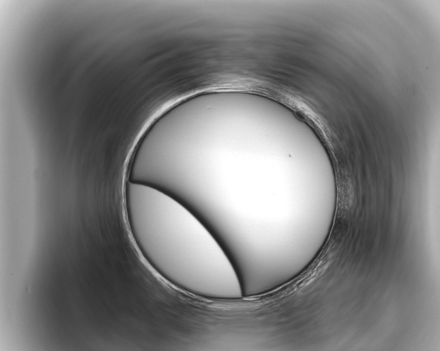 X0000096681487200802051020