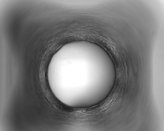 X0000096681489200802051019