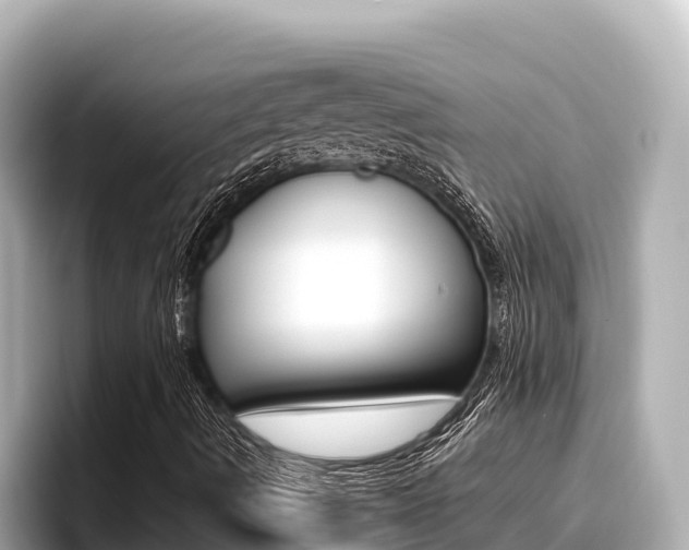 X0000096681490200802051019