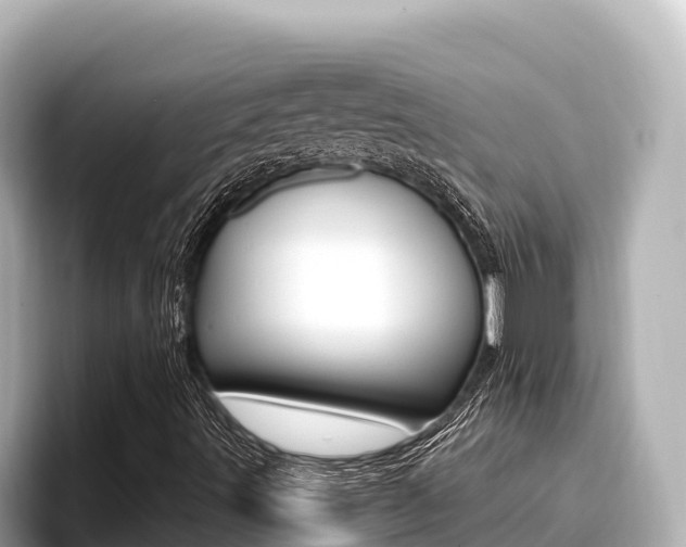 X0000096681491200802051019