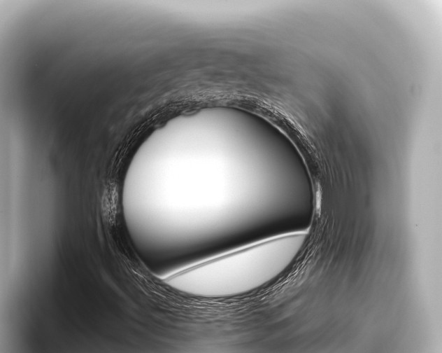 X0000096681492200802051019