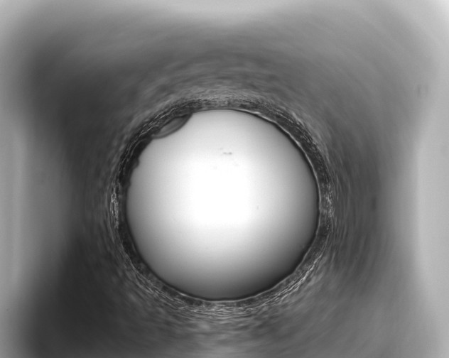X0000096681493200802051019