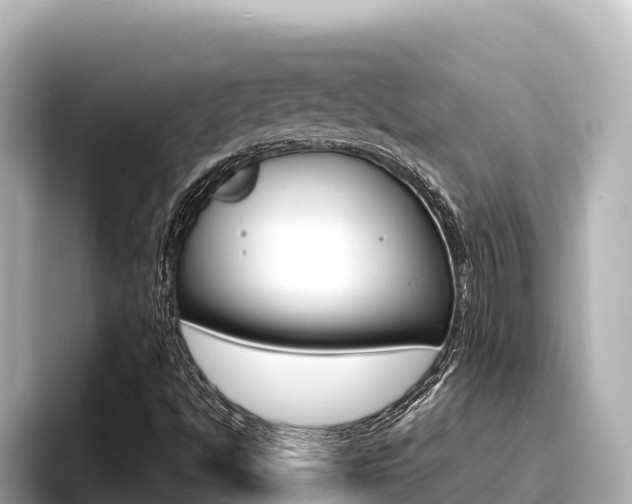 X0000096681494200802051019