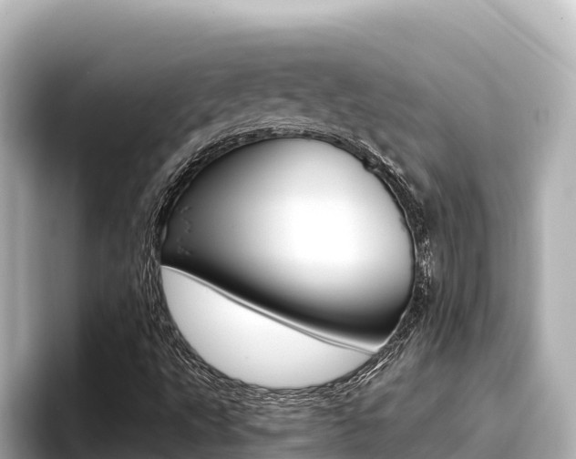 X0000096681495200802051019