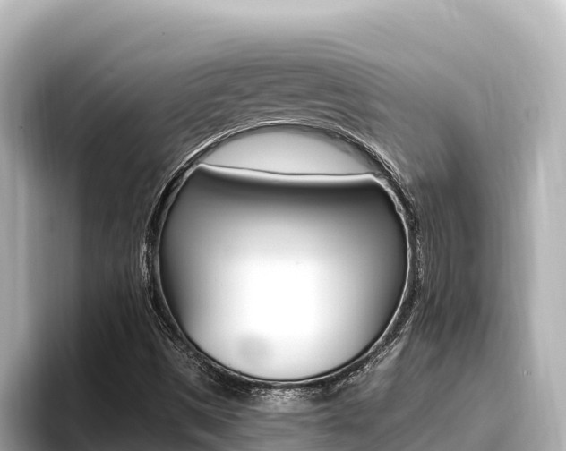 X0000096681497200802051019