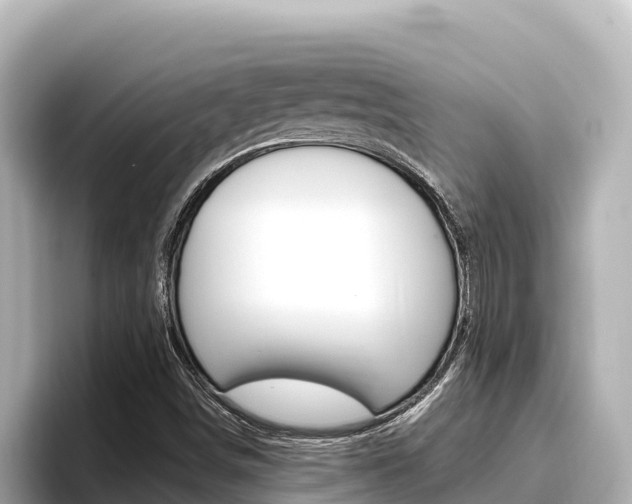 X0000096681498200802051019