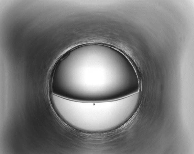 X0000096681500200802051019