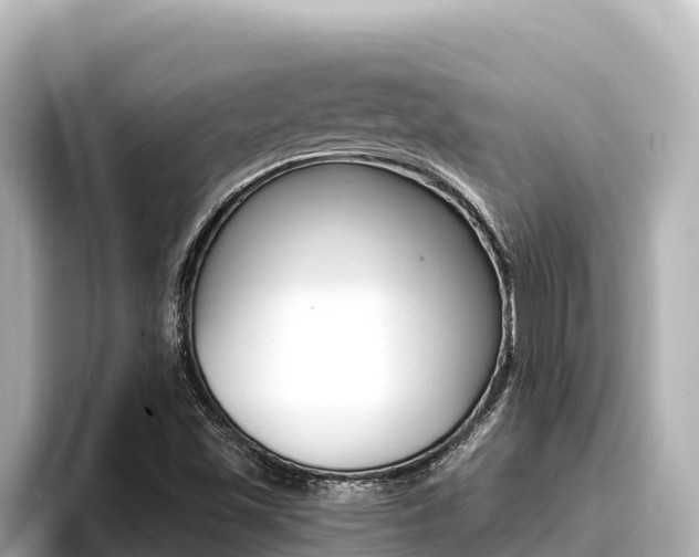 X0000096681501200802051019