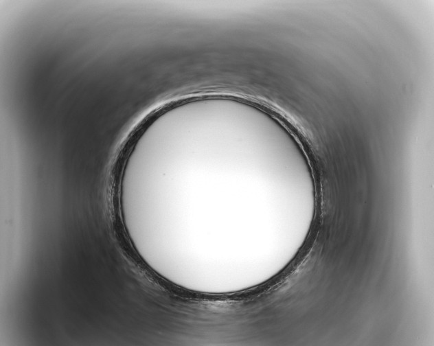 X0000096681502200802051019