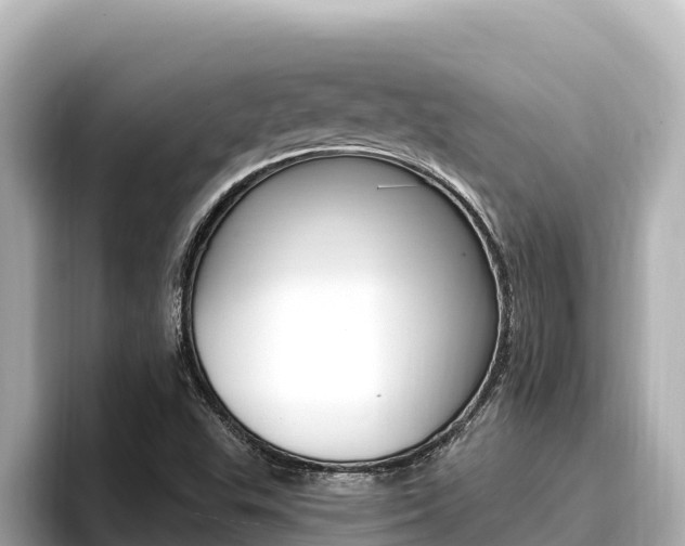 X0000096681503200802051019