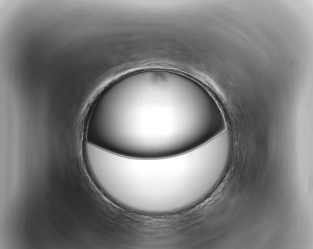 X0000096681504200802051019