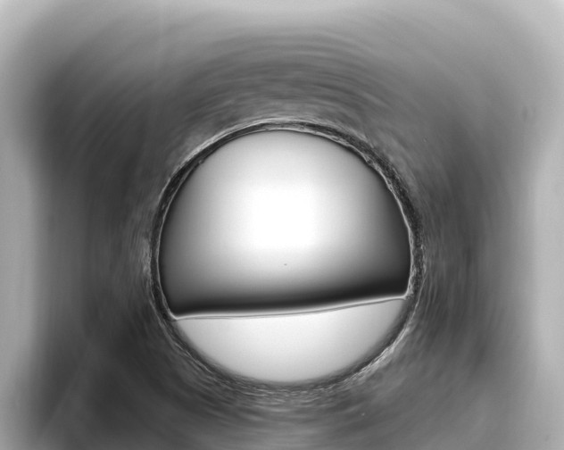 X0000096681505200802051019