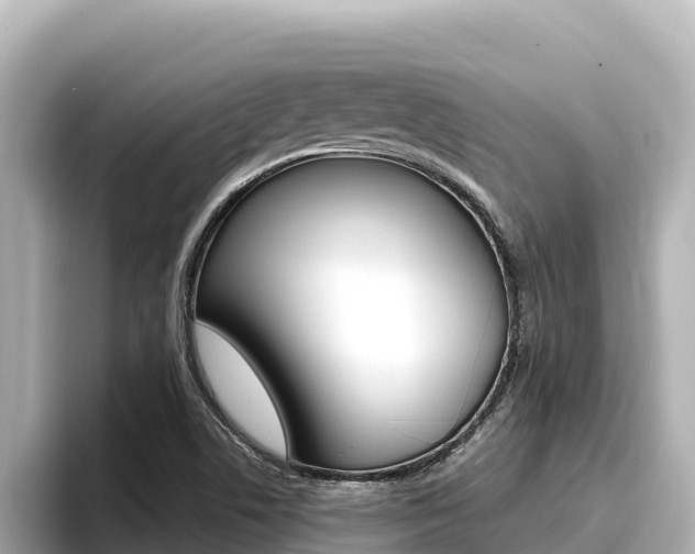 X0000096681506200802051019