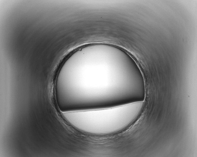 X0000096681507200802051019