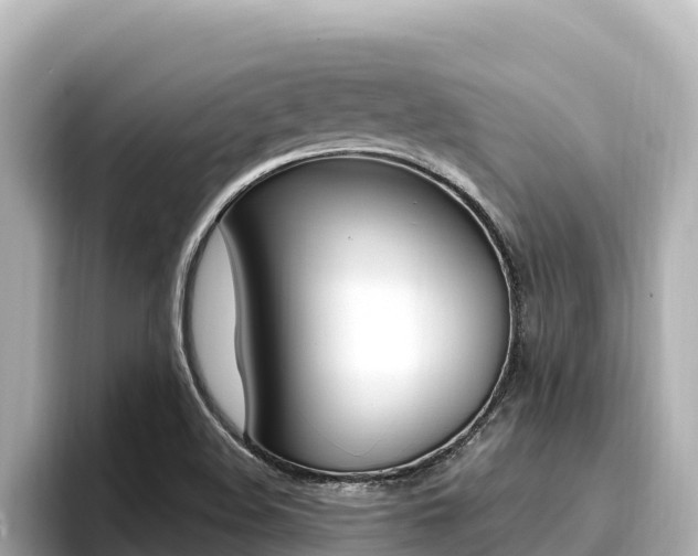 X0000096681508200802051019